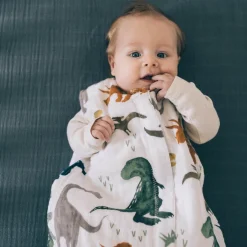Cotton Muslin Sleep Bag - Dino Friends