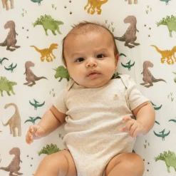 Stretch Knit Crib Sheet - Dino Pals