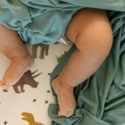 Stretch Knit Swaddle Blanket 2 Pack - Dino Pals