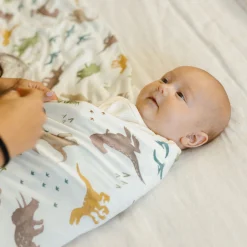 Stretch Knit Swaddle Blanket - Dino Pals