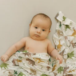Stretch Knit Swaddle Blanket - Dino Pals